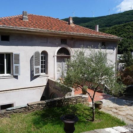 Ersa Casa A Rota Chambres D'Hotes المظهر الخارجي الصورة